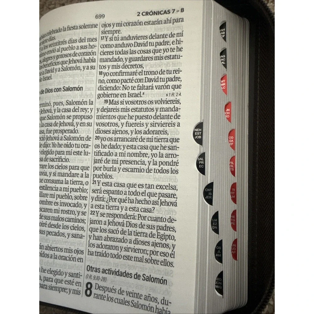 Santa Biblia Reina Valera 1960 Letra Grande Mundo Biblia